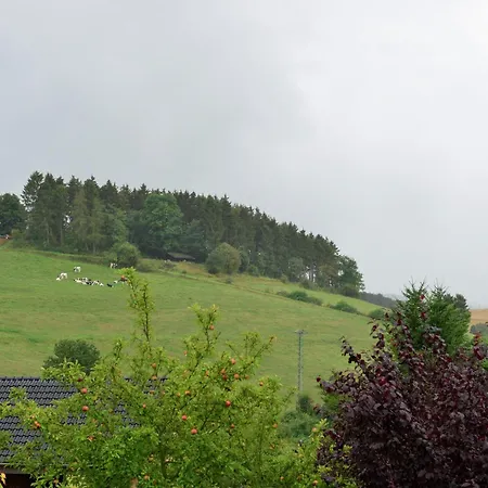 Flat At Near Willingenwinterberg, Cleaning Included Apartment